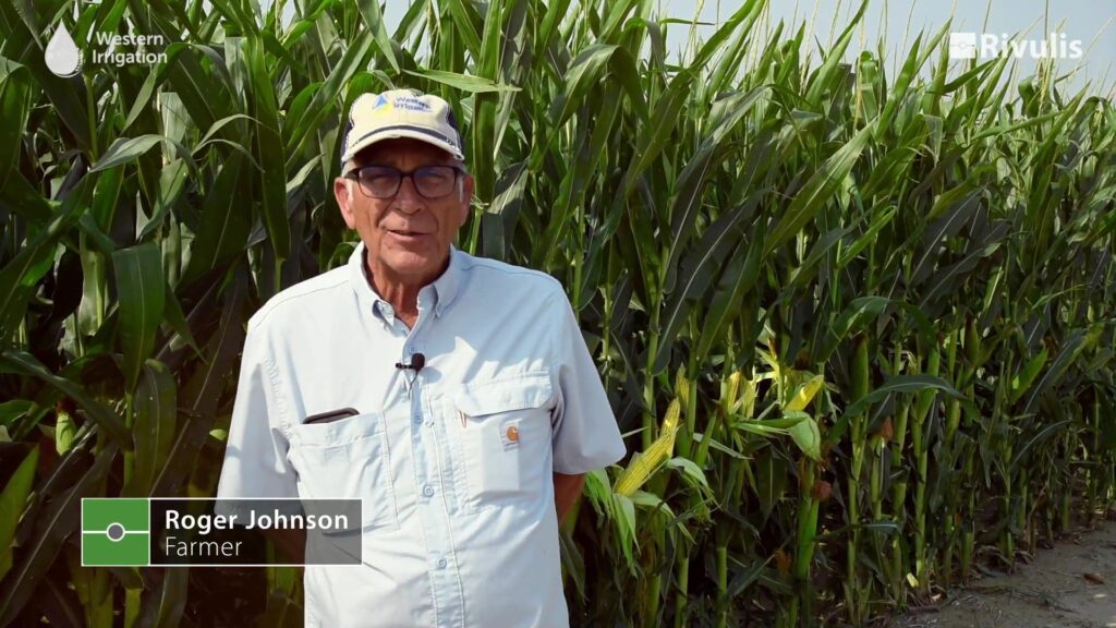 Corn Irrigation Management