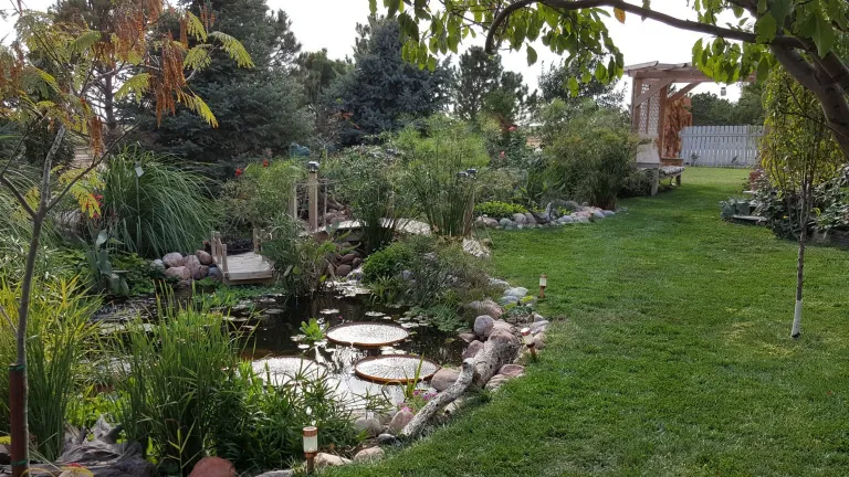 Lawn Sprinkles and Irrigation